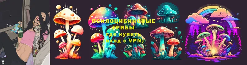 Галлюциногенные грибы Psilocybine cubensis  Ялуторовск 